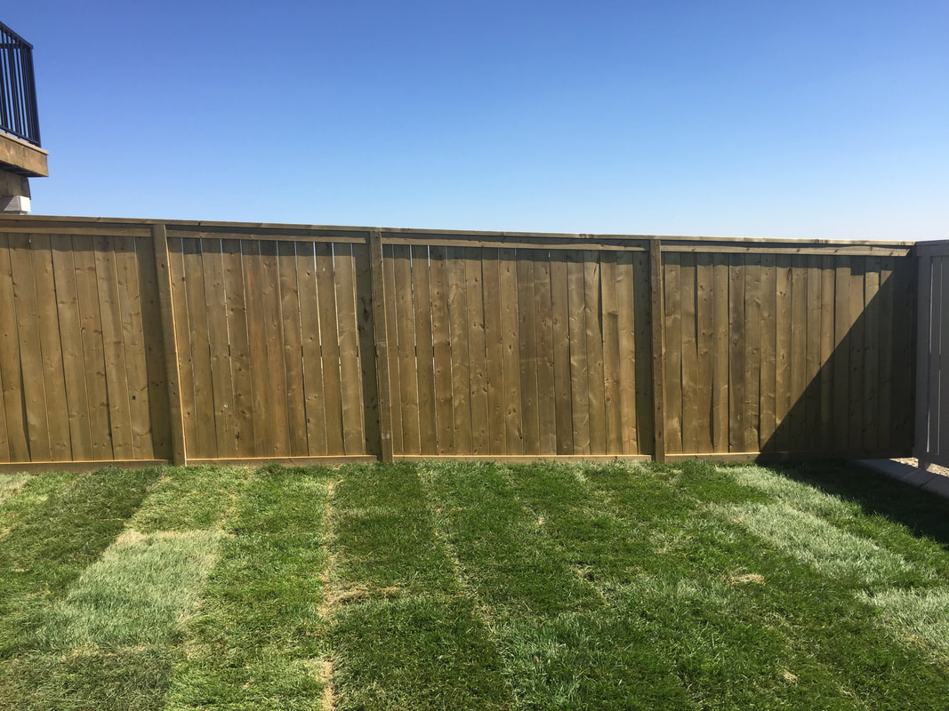 Project photo 15